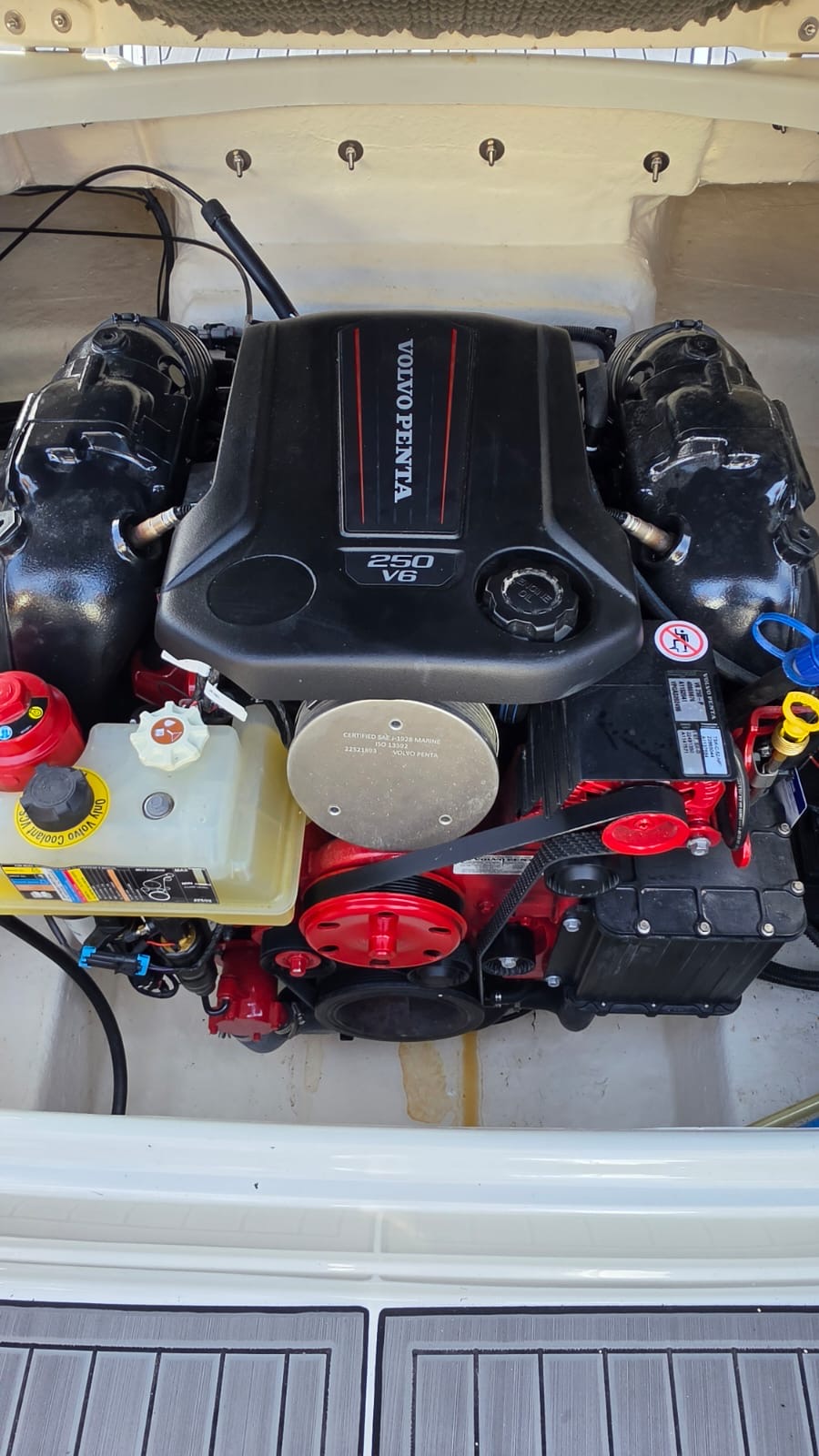 Canestrari Cuddy 225 2022 Volvo 250 hp DP